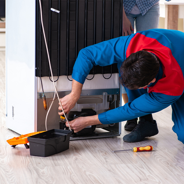 what are the common refrigerator repair services in Willow Hill Illinois